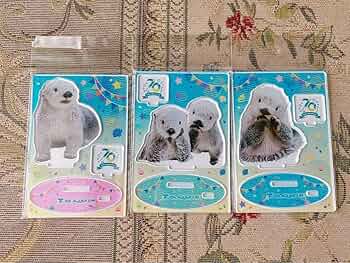 Amazon.co.jp: 鳥羽水族館 70周年記念 ラッコ キラ メイ